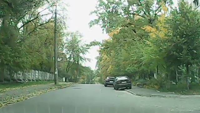 Белка не знает правил дорожного движения :) смотреть онлайн