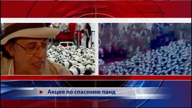 Акция по спасению панд смотреть онлайн