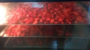 сублимированная клубника