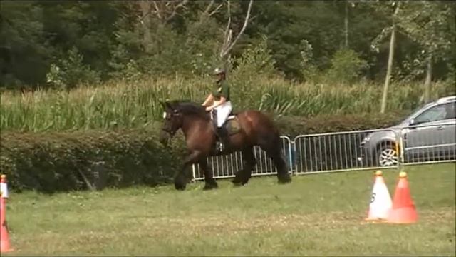 DKT - Kristy Stulens (bereden) - Alken - 02/08/2015 смотреть онлайн