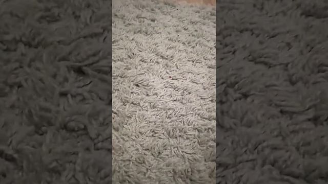 28 марта 2021 г. смотреть онлайн