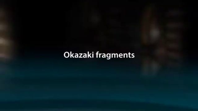 DNA REPLICATION IN PROKARYOTES & EUKARYOTES смотреть онлайн
