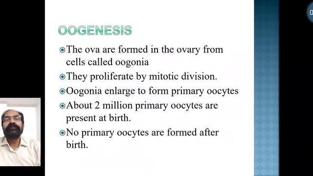 3. Spematogenisis and oogenesis смотреть онлайн