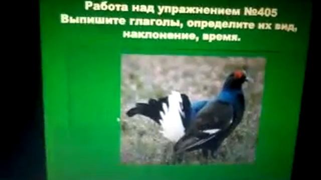 Времена глагола смотреть онлайн