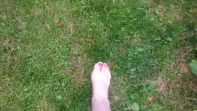Мое утро в лесу#как я повышаю свою энергетику и наполняюсь природной силой