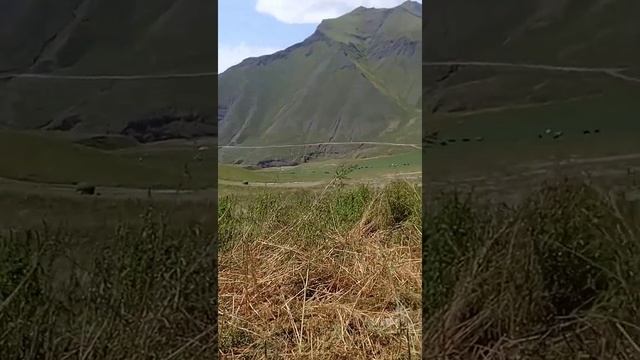 Сказочная природа села ЯРКУГ смотреть онлайн
