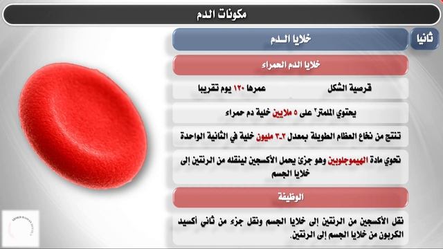 مكونات ووظائف الدم - الصف الثاني المتوسط الفصل الدراسي الثاني - الدرس الأول смотреть онлайн