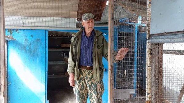 Кизлярские - Моздокские бойные голуби в селе Высоцкое !!!