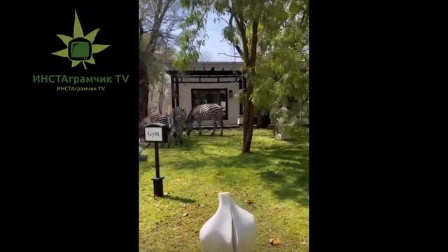 Кирилл Туриченко ОТДЫХ в АФРИКЕ с ЛЮБИМОЙ смотреть онлайн