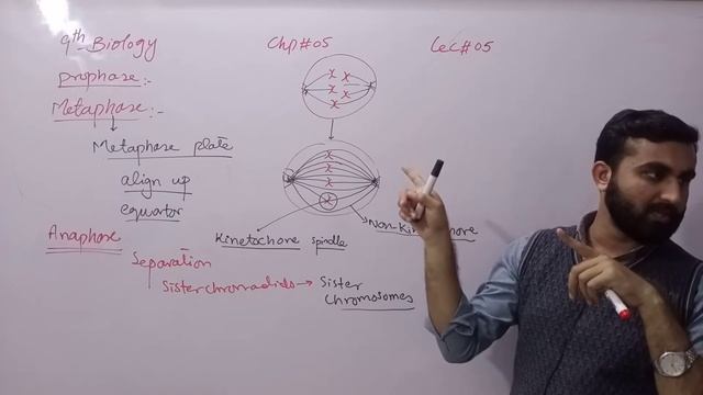 Metaphase, Anaphase, Telophase |Mitosis | Cell cycle | Chapter 5 | 9th class Biology | Lec.5 смотреть онлайн