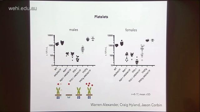 Varghese L (2014): The Activation & Inhibition Of JAK2 In Proliferative Blood Disorders