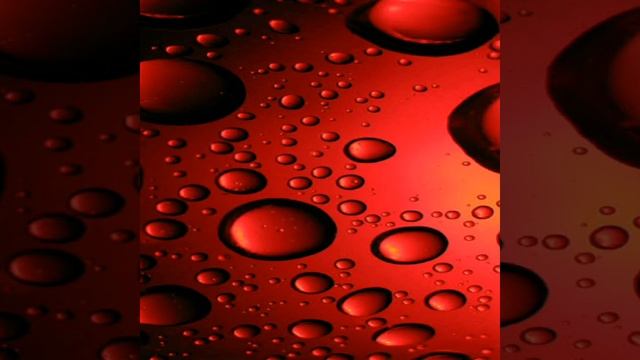 Lose You To Love Me Song By Selena Gomez (Lyrics) смотреть онлайн