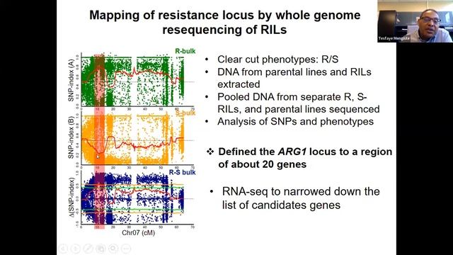 Plant Cell webinar highlighting Focus Issue on Plant Biotic Interactions (2) смотреть онлайн