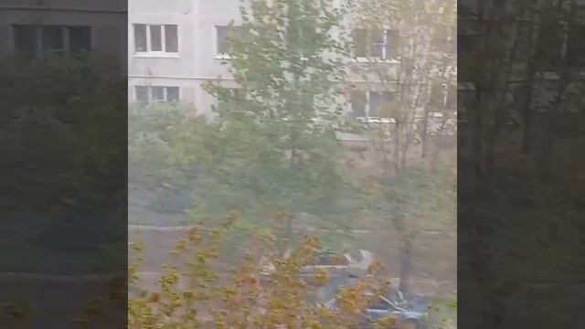 "Как мне, скажи, не думать о тебе" стихи Галины Ляшенко, авторская мелодекламация. смотреть онлайн