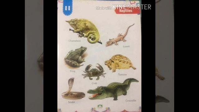 Reptiles смотреть онлайн