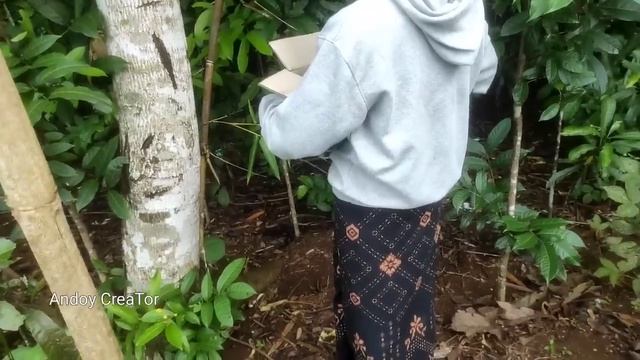 viral !! detik-detik terekam jelas anak anjing bisa bicara bahasa manusia... смотреть онлайн