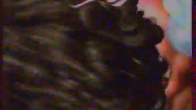 Рекламный блок (РТР-Беларусь, 29.11.2008) 6 +Анонс "Гастролёр" смотреть онлайн