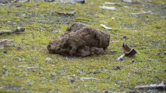 BABRUISK смотреть онлайн