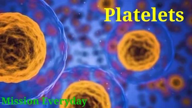 #redbloodcells #whitebloodcells #plasma #missionseveyday смотреть онлайн