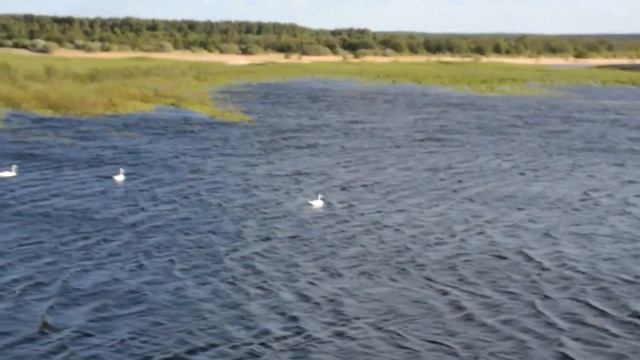 Подтыбок Песня о родном поселке! смотреть онлайн