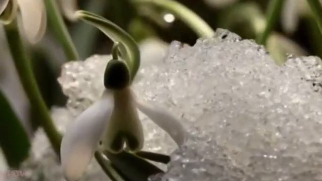 Ден соолук+авитаминоз