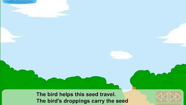 Lesson for Kids - How do seeds travel? смотреть онлайн