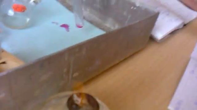 мыловарение лол смотреть онлайн