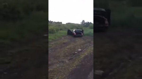 Momo HE 817 в ЗЯ саб отсутствует