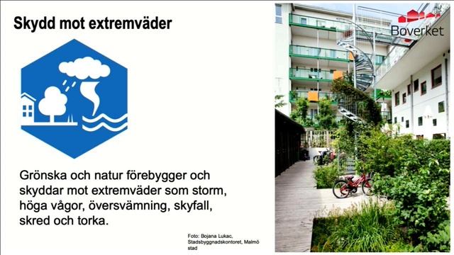 1. Låt staden grönska! смотреть онлайн