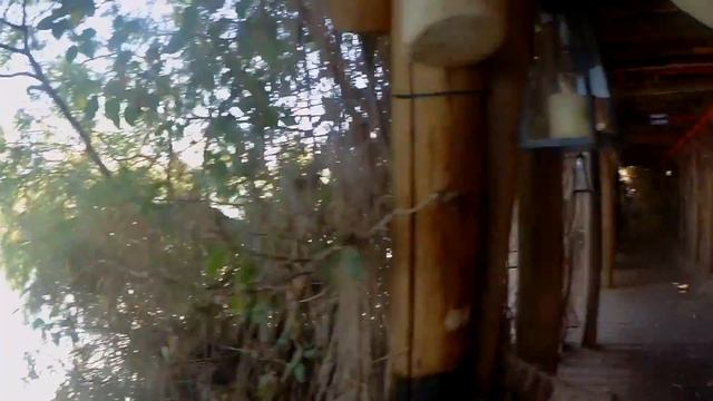 Анюта в гостях у дельфинов