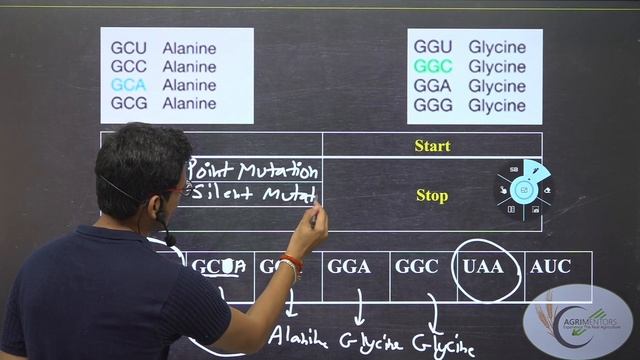 Concept Of Mutation: | Codon | Point Mutation | Frameshift Mutation | IBPS AFO