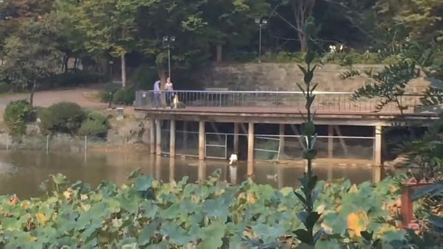 Южная Корея. Ансонг, Нэри - Чуандэ Университет смотреть онлайн