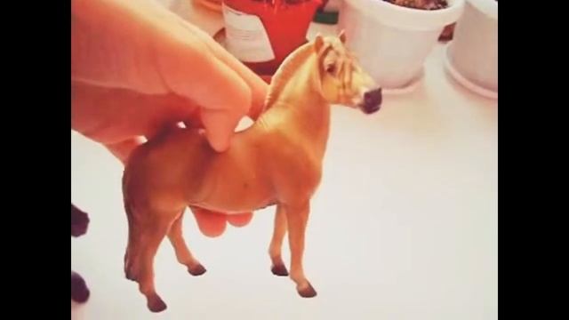 моя коллекция лошадей коллекта смотреть онлайн