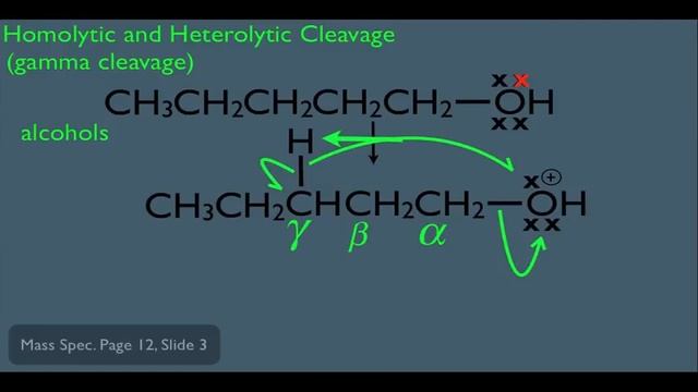 Mass Spectrometry Fragmentation Part 2