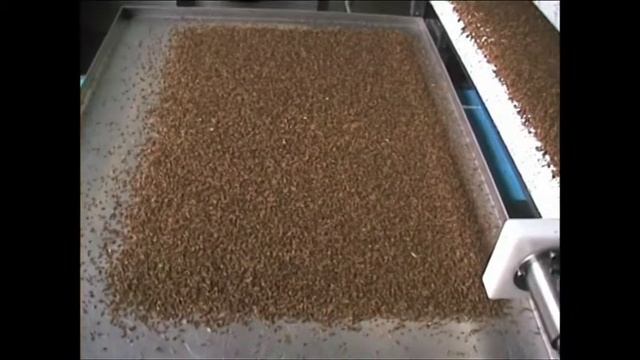 Машины для посыпки кондитерских изделий модели UBS BV и UBS OBV (с одним бункером)