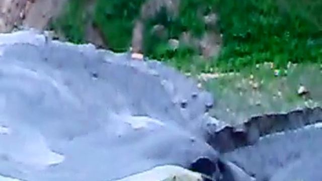 16062010009-003.mp4 смотреть онлайн