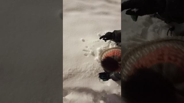 #когда записала ребенка на рисование
14.11.24