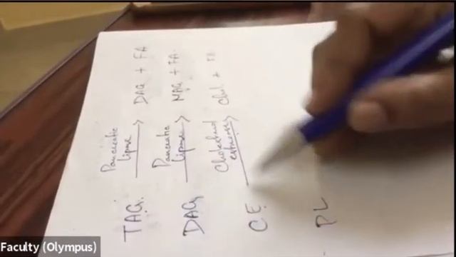 Digestion & Absorption of lipids|Lipid metabolism|Biochemistry|MBBS смотреть онлайн
