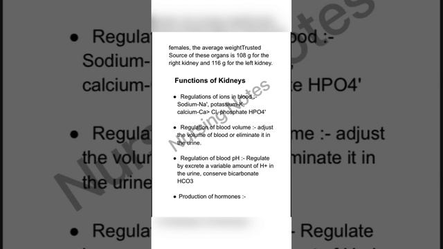 Kidneys | Anatomy and Physiology | #nursing #notes #education #kidney смотреть онлайн