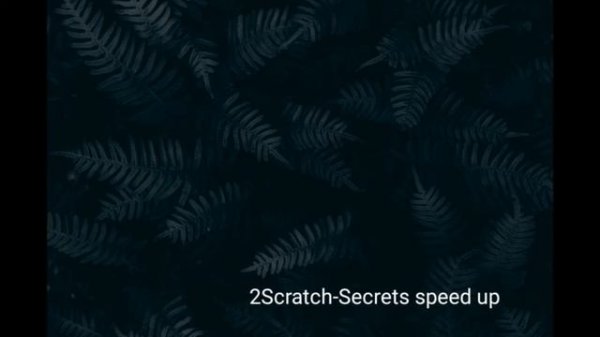 2Scratch-Secrets speed up.