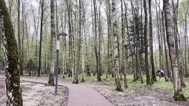 Не обращай внимания, она больна и ничего не соображает! Хохотал муж, приведя любовницу.