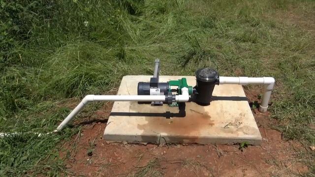 Returning Life to the Wetlands