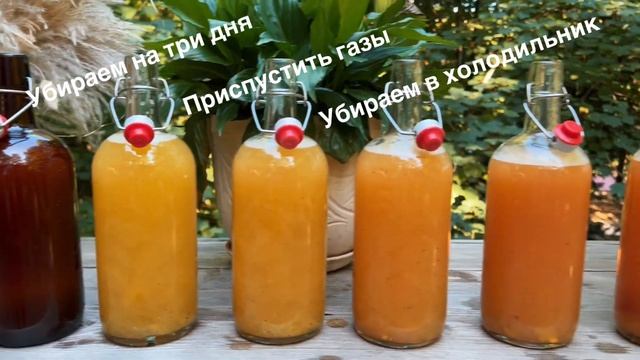 Готовим Энзимы Дома с Кириллом Серебрянским 24 сентября 2023 г. смотреть онлайн