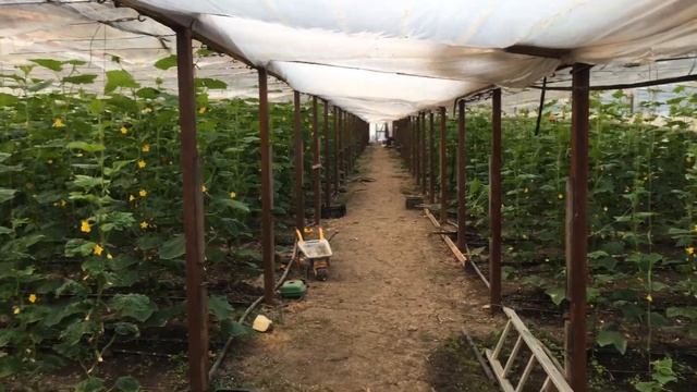 Продолжаем топить смотреть онлайн