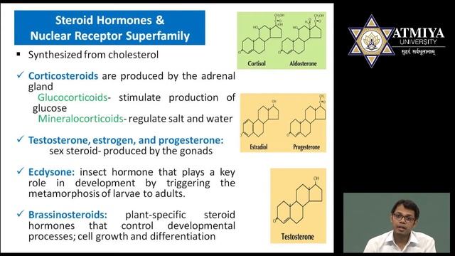 Signalling Molecule смотреть онлайн