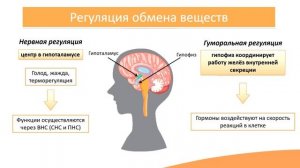 9.9. Обмен веществ и энергии