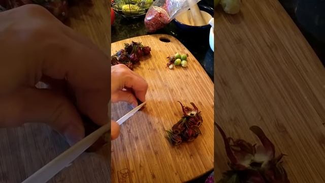 Harvesting Roselle hibiscus calyces смотреть онлайн