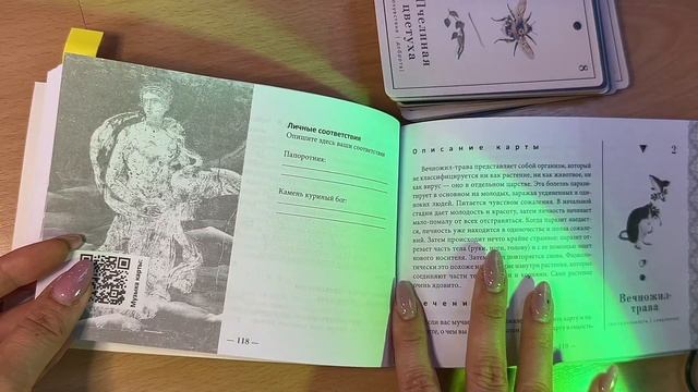 Оракул Сад Гекаты: Обзор колоды смотреть онлайн