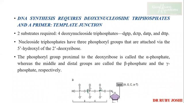 Molecular_Biology #Lecture_1 #DNA Replication #DNA Chemical Synthesis
