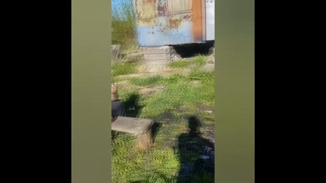 ДИМОН БРОСАЕТ ПИТЬ!!! смотреть онлайн